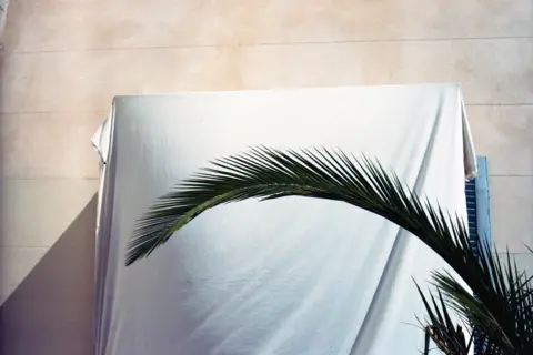 Kane Hulse Plant in Marseille