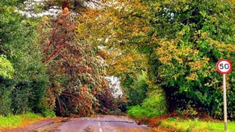 Weather Watcher/uWhoAndyR Chapel Brampton