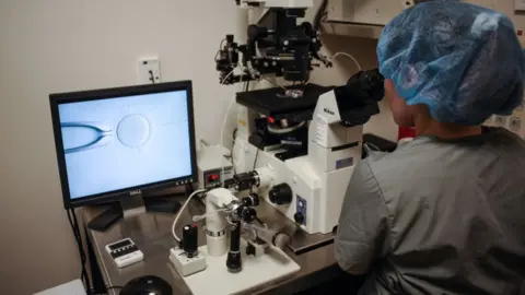 Getty Images An embryologist is seen at work at the Virginia Center for Reproductive Medicine