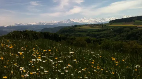 Swiss Alps (file pic)