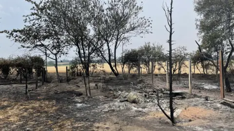 Andrew Turner/BBC Burnt remains in Poringland