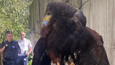 Leicestershire Police A bird of prey