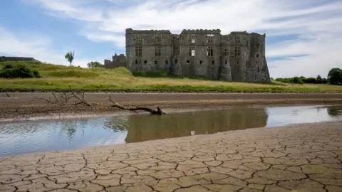 Getty/Matthew Horwood Carew Castle