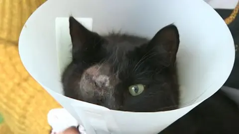 Christopher Quevatre Bruno