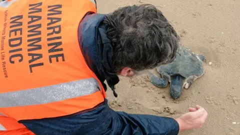 Ashley James Turtle on Talacre beach