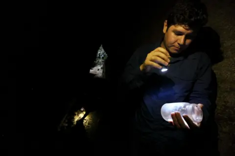 Douglas Engle Pedro Dias on a hunt for crickets in the Tijuca National Forest in Rio de Janeiro