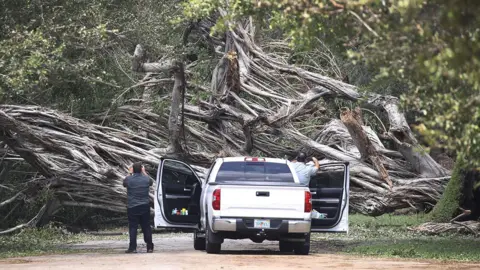 Getty Images Tree fallen in Miami