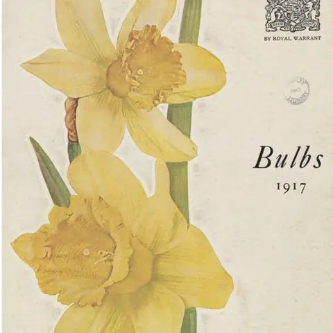 RHS Lindley Collections Nursery catalogue from 1917