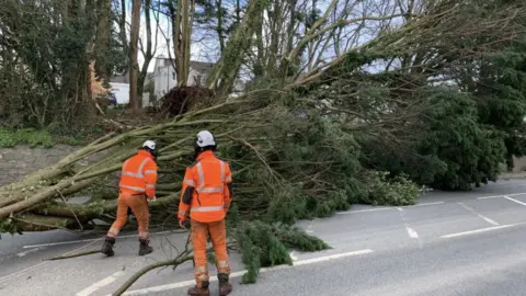 Devon County Council Workers assessing fallen tree