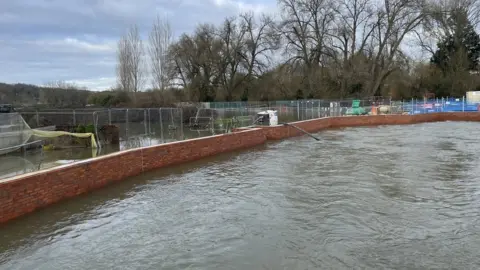 Paul Sample Salisbury