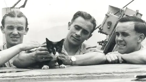 PDSA Simon the cat awarded a Dickin Medal in 1949