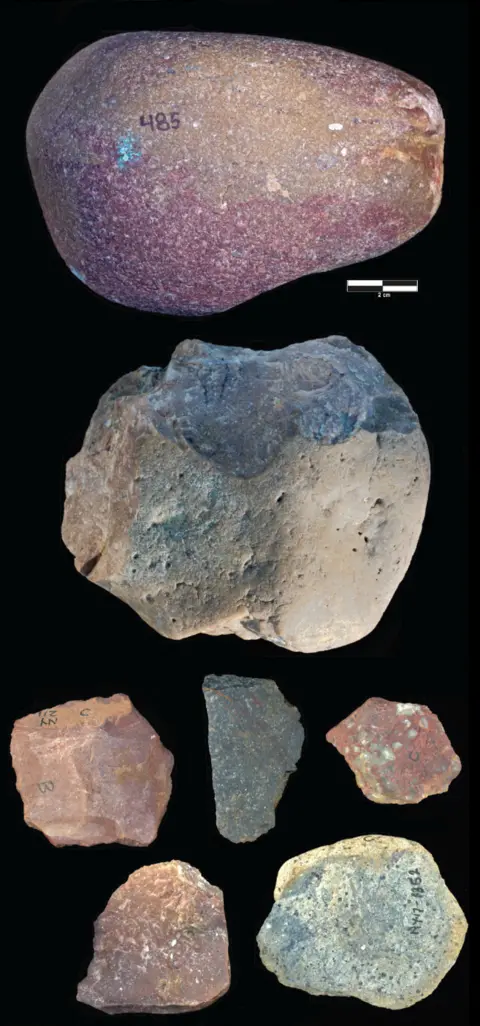 Reuters Examples of an Oldowan percussive tool, core and flakes dating from roughly 2.9 million years ago and found at the Nyayanga site in Kenya are seen in this undated handout image. (Top row) Percussive tool found in 2016. (Second row from top) Oldowan core found in 2017. (Bottom rows) Oldowan flakes found in 2016 and 2017. The analysis of wear patterns on 30 of the stone tools found at the site showed that they had been used to cut, scrape and pound both animals and plants.