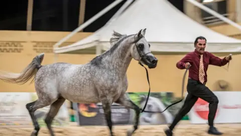 Getty Images Man parades a horse on Saturday 5 October 2019