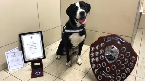 Avon and Somerset Police Police dog Bandit with his trophies