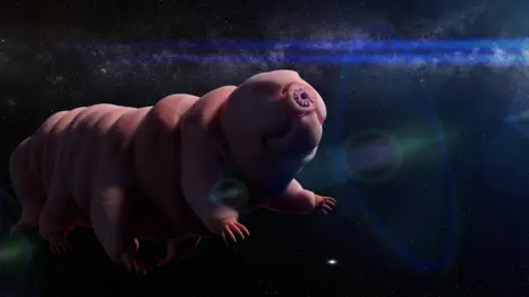 Getty Images A tardigrade floating in space