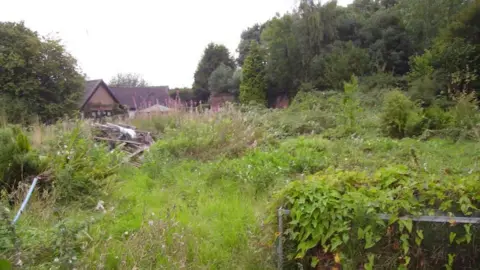 Diane James Guy's Cliffe Walled Garden