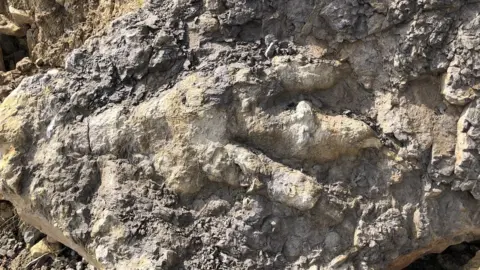 Marie Woods Footprint