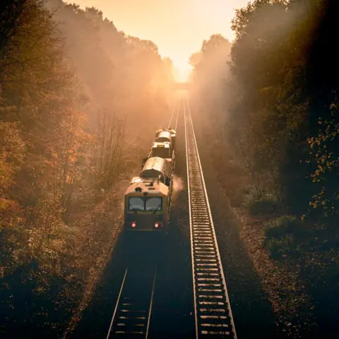 @edphillips_media A freight train passes through Sutton Park at sunset