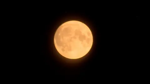 The blue supermoon as seen from Alexandra Palace