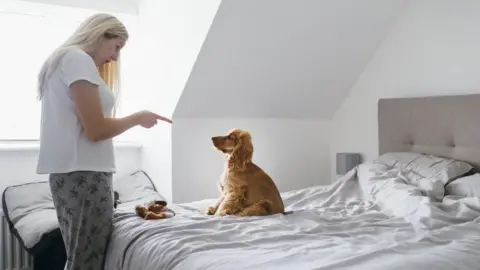 SolStock Woman wagging finger at dog