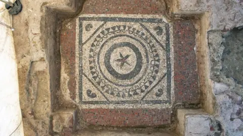 MOLA Mosaic