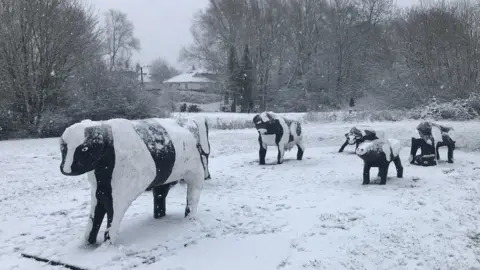 Zoe Nolan Concrete cows in snow