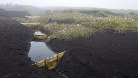 Leo Mason/National Trust/PA Wire A peatland restoration project in the Peak District