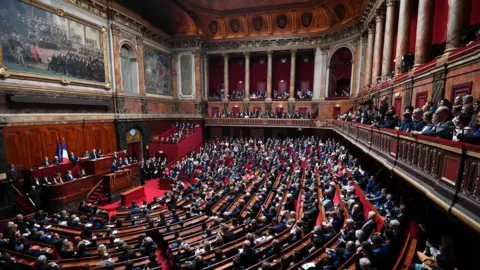 AFP/Getty Macron speaking in Versailles