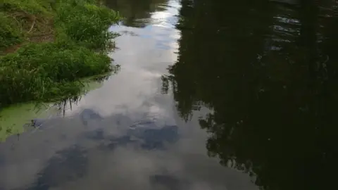 BBC River generic