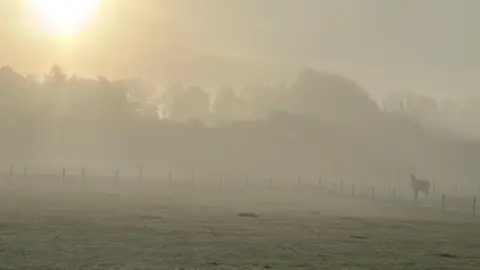 Julie Mulhern A field with lots of fog and a horse scene in the distance.