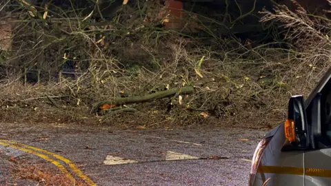 BBC Debris from fallen trees can be seen strewn across a road, with the wing mirror and corner of a van visible in the right hand side of the image.