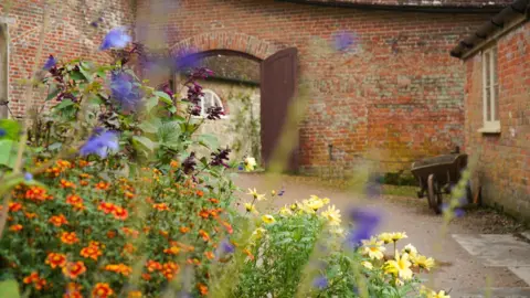 National Trust/ Lucy Fenna A close-up of a flowerbed, with purple, orange and yellow flowers, in a red brick walled courtyard. 