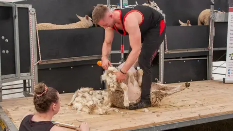 Dougie Johnston Shearing