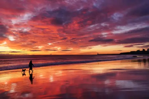 Owen Humphreys / PA Media A beach at sunset. The clouds in the sky are illuminated in shades of orange and purple. The sea is calm and on the shore if a person walking their dog. In the distance, there are castle ruins on a headland jutting out into the ocean.
