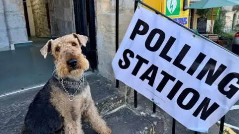 An airedale terrier dog sitting on some steps looking towards the camera. On the railings is a white banner with black bold writing in capitals saying polling station.