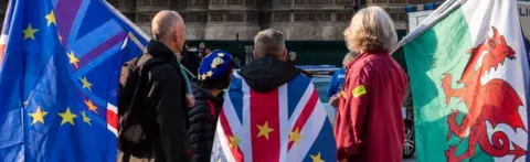 Getty Images Brexit protestors