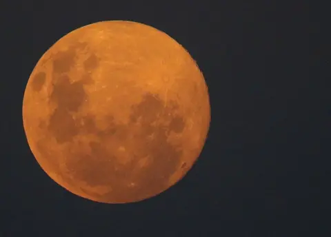 EPA The pink supermoon seen from Johannesburg, South Africa