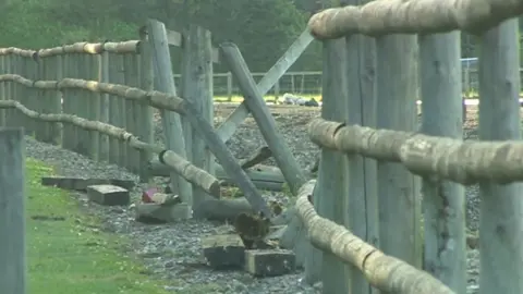 BBC The crash site on an access road linking Newlyns and Lodge Farms