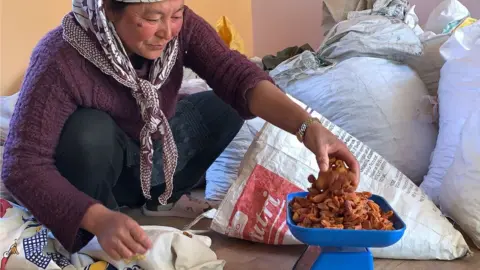 Arati Kumar-Rao apricot farming