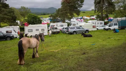 Caravans parked at Appleby Horse Fair. The caravans and cars are parked in a field under trees. A number of horses are standing and lying on the grass in the foreground.