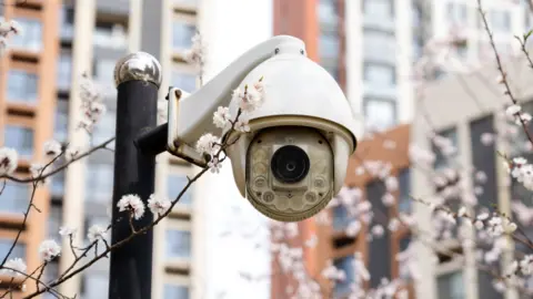 Residential area with cameras and blooming flowers.