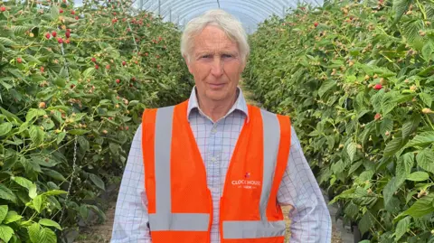 BBC/Ben Leete A man in a checked white shirt and hi vis jacket standing among fruit plants