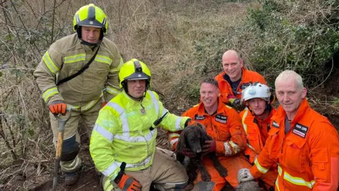 Leicestershire Fire and Rescue Service Fire crews with rescued dog