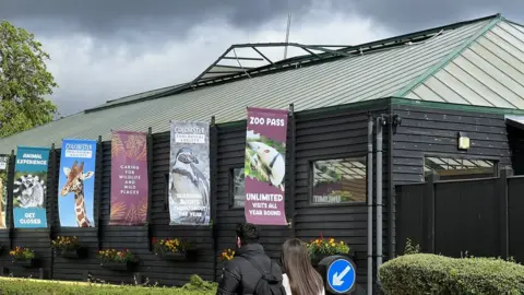 Stuart Woodward/BBC The orangutan enclosure with a damaged roof