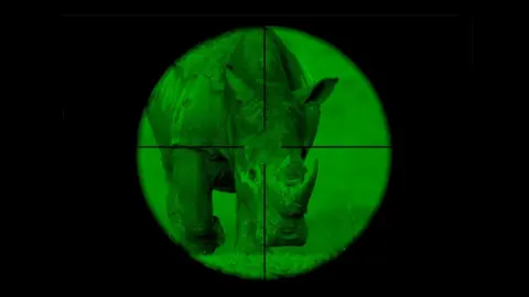 Alamy Rhino pictured in crosshairs of a target