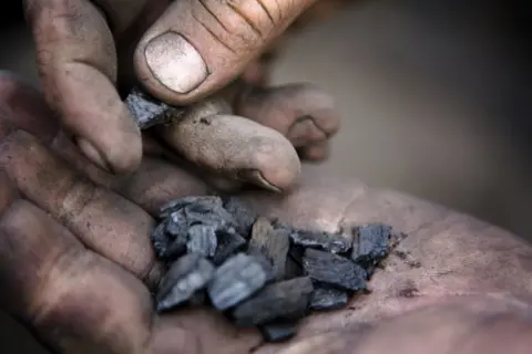 Getty Images Biochar