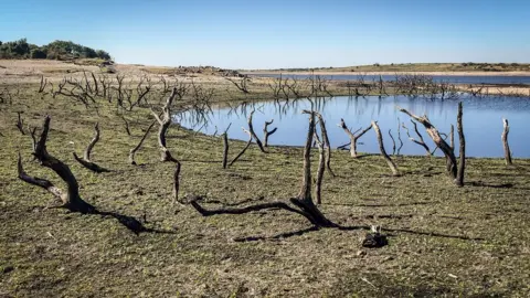 Getty Images Low water levels at Colliford Lake near Bodmin