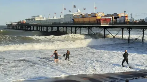 Allie Dart Allie swimming in the surf