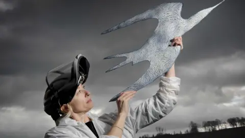 Colin Hattersley Amanda Simmons