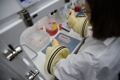 Lab technician prepares samples at one of the new labs at the Health Security Agency, Porton Down, Salisbury